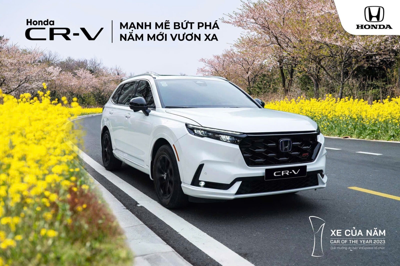 z5982643773498 41b7a59d5560bb84c62ad870164a11cb Mừng Xuân Ất Tỵ 2025 - Chào đón niềm vui, sở hữu ngay Honda CR-V tại đại lý Honda ô tô Bình Dương